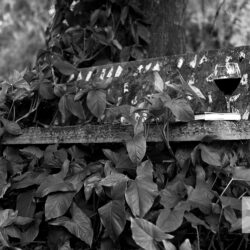Quiet Place